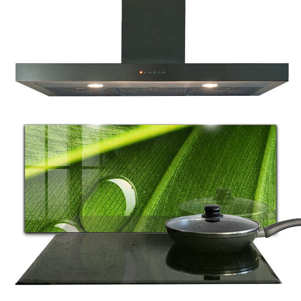 Kitchen wall panels Dew drop on a leaf