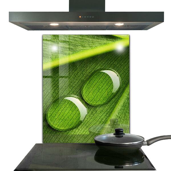 Kitchen wall panels Dew drop on a leaf