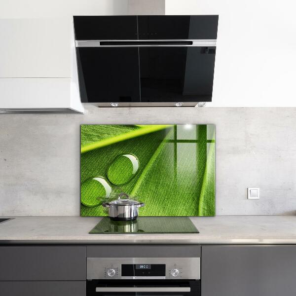 Kitchen wall panels Dew drop on a leaf