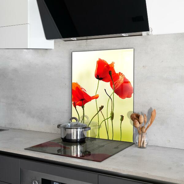 Kitchen wall panels Field meadow with red poppies