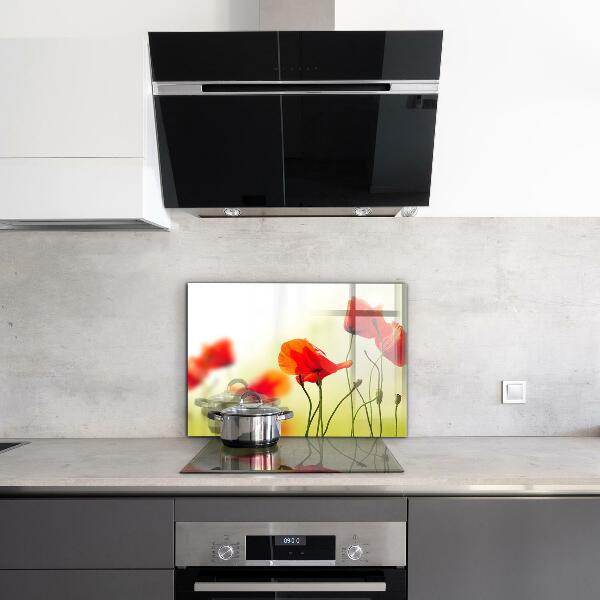 Kitchen wall panels Field meadow with red poppies