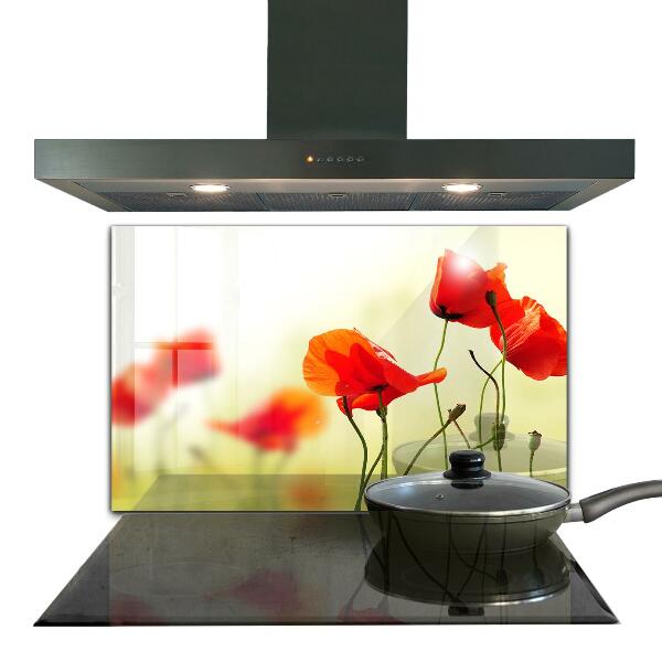 Kitchen wall panels Field meadow with red poppies