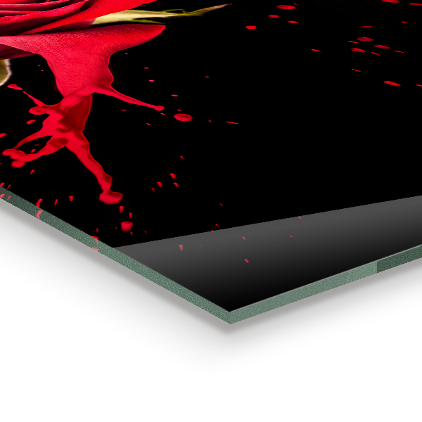 Kitchen wall panels Red rose abstract