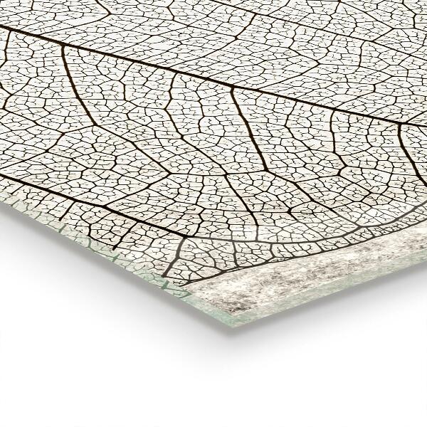 Kitchen wall panels Sepia leaf texture