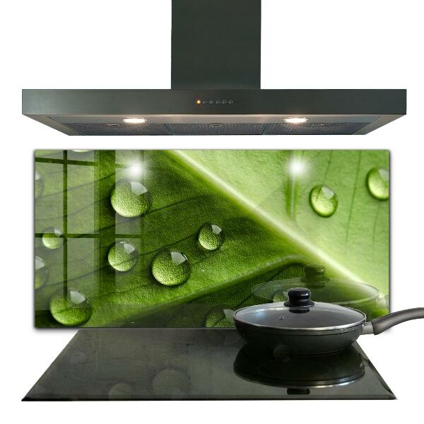 Kitchen wall panels Leaf with drops of morning dew