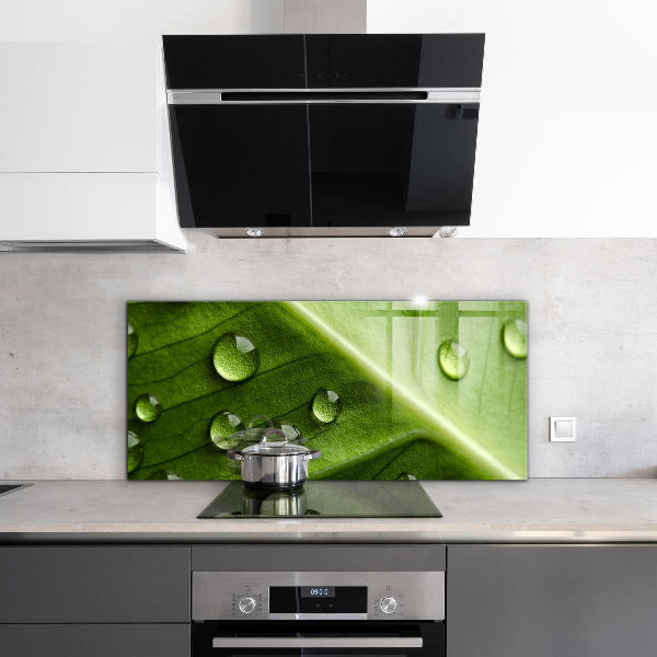 Kitchen wall panels Leaf with drops of morning dew