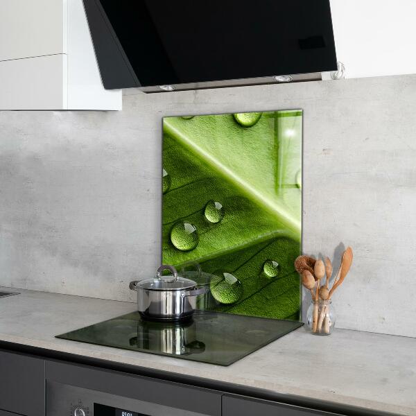 Kitchen wall panels Leaf with drops of morning dew