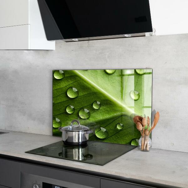 Kitchen wall panels Leaf with drops of morning dew