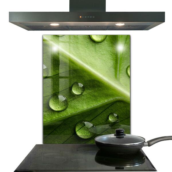 Kitchen wall panels Leaf with drops of morning dew