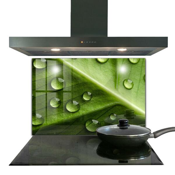 Kitchen wall panels Leaf with drops of morning dew