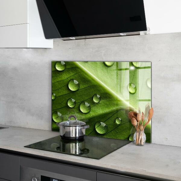 Kitchen wall panels Leaf with drops of morning dew