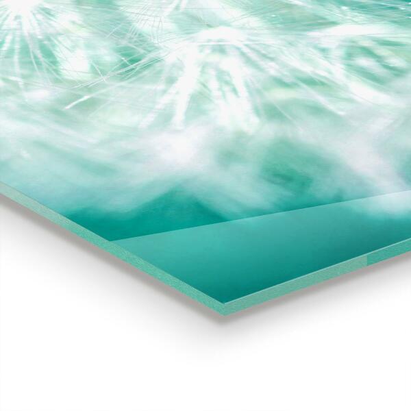 Kitchen wall panels Dandelion in the wind plant