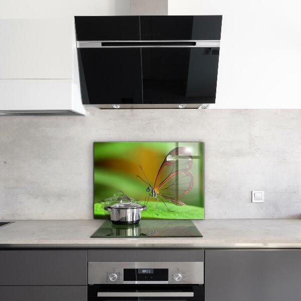 Hob splashback Butterfly on a leaf