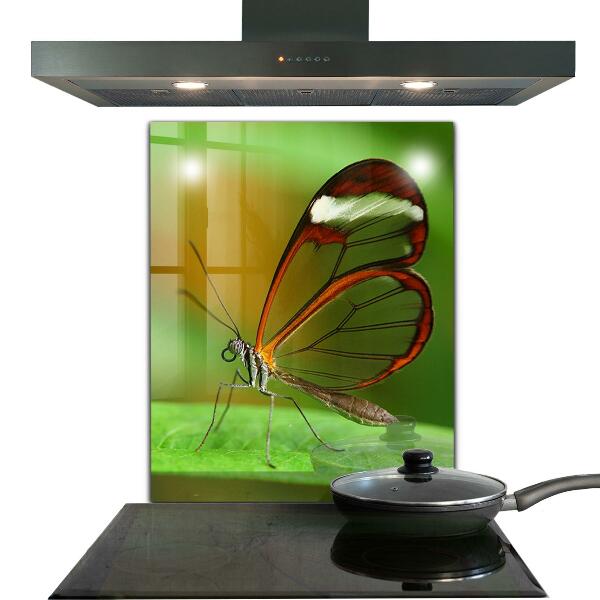 Hob splashback Butterfly on a leaf