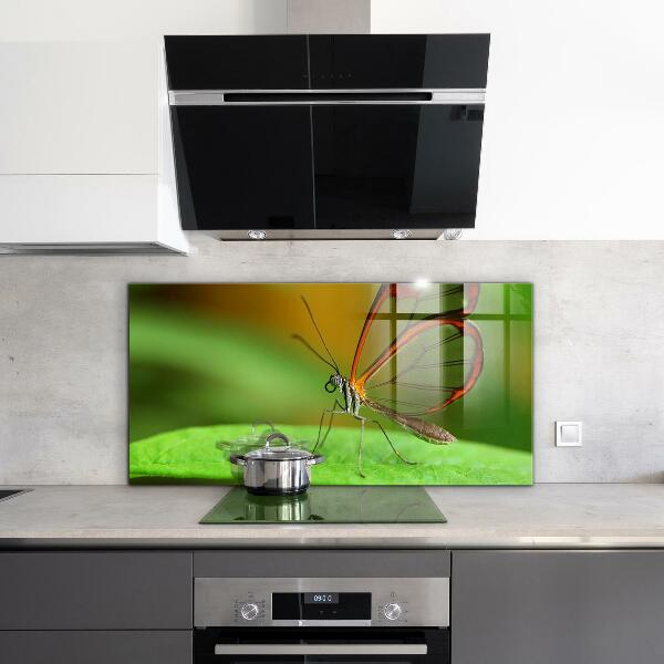 Hob splashback Butterfly on a leaf