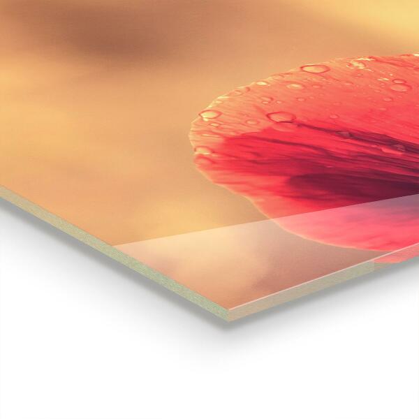 Kitchen wall panels Vintage poppy plant