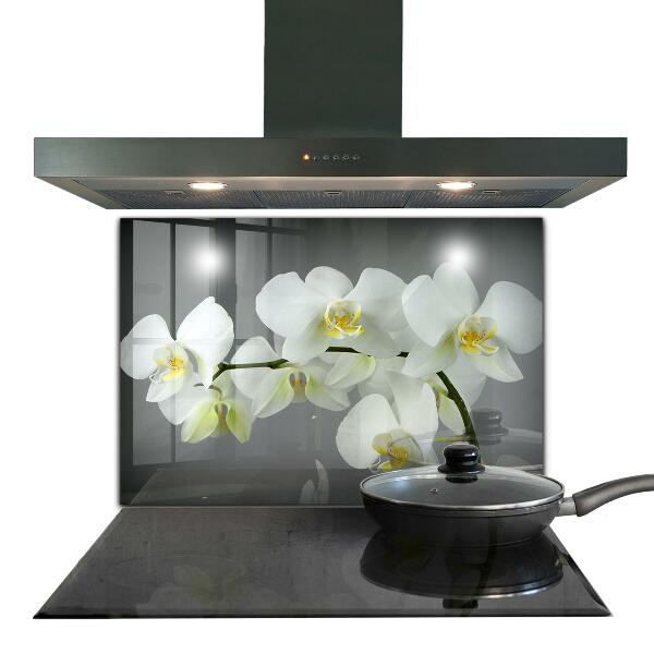 Kitchen wall panels White orchid on black background