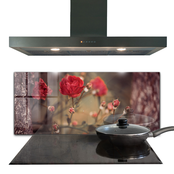 Kitchen wall panels Wild rose in the park