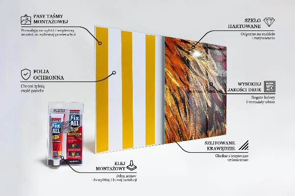 Kitchen glass panel Colorful bird feathers