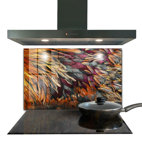 Kitchen glass panel Colorful bird feathers