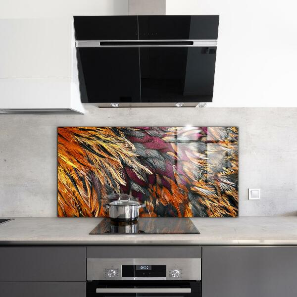 Kitchen glass panel Colorful bird feathers