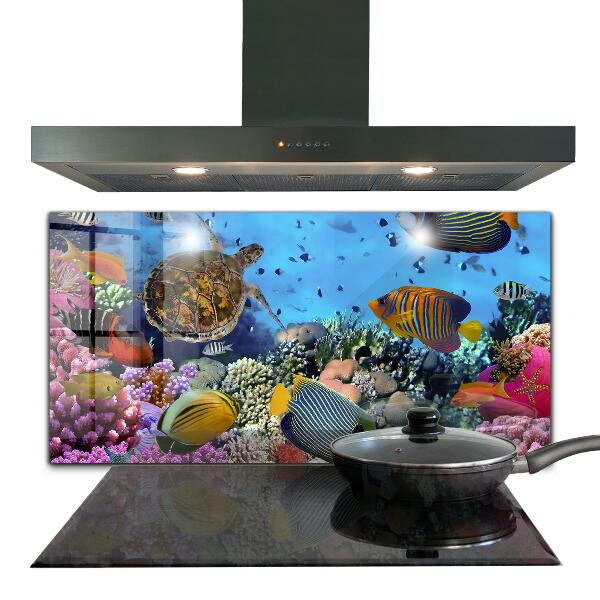 Kitchen wall panels Barrier reef caribbean