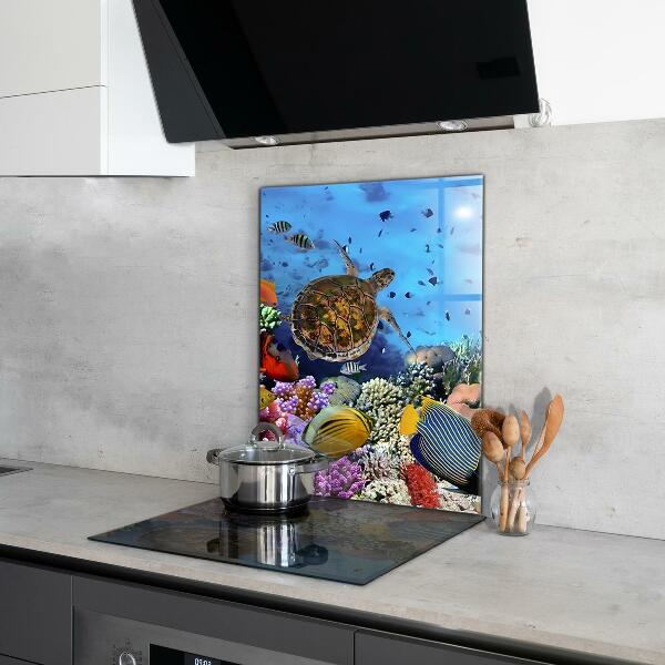 Kitchen wall panels Barrier reef caribbean