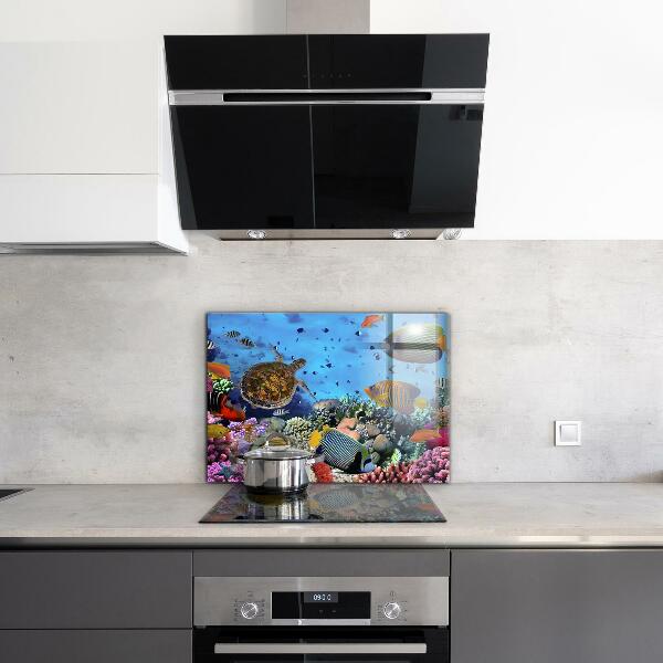 Kitchen wall panels Barrier reef caribbean