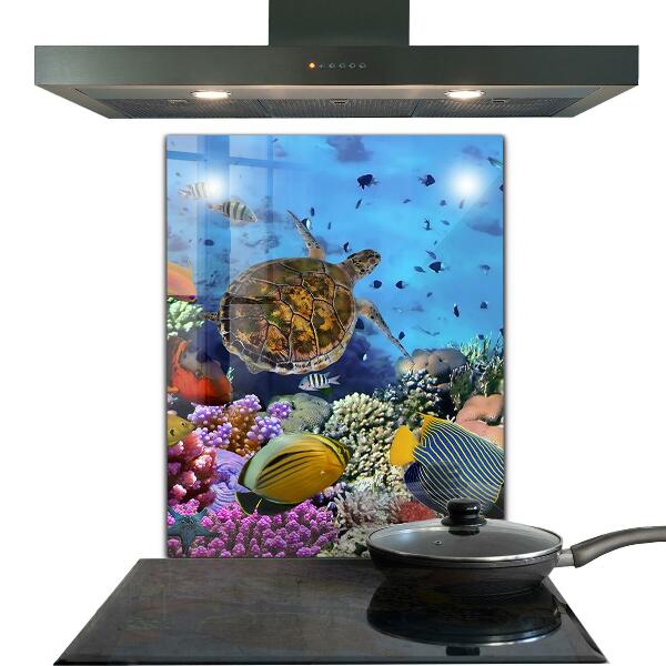 Kitchen wall panels Barrier reef caribbean