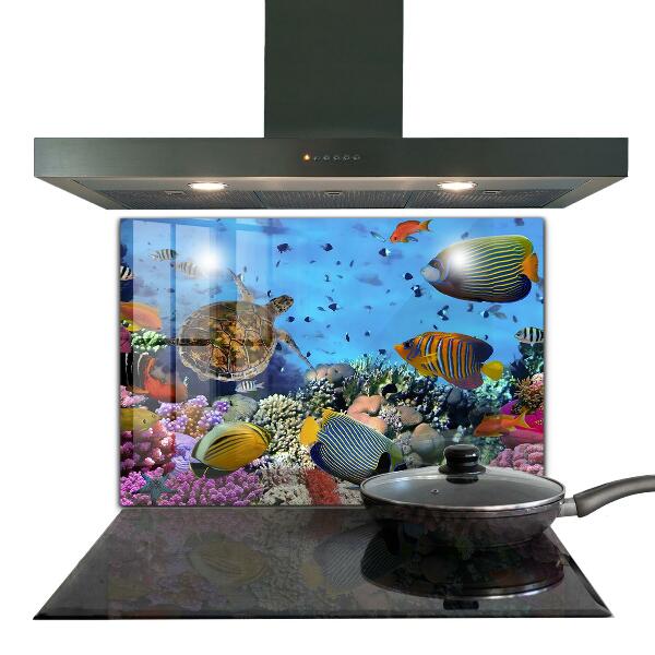 Kitchen wall panels Barrier reef caribbean