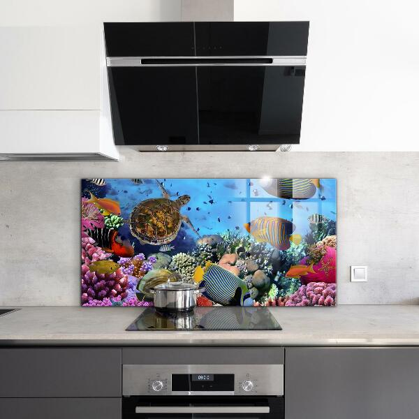 Kitchen wall panels Barrier reef caribbean