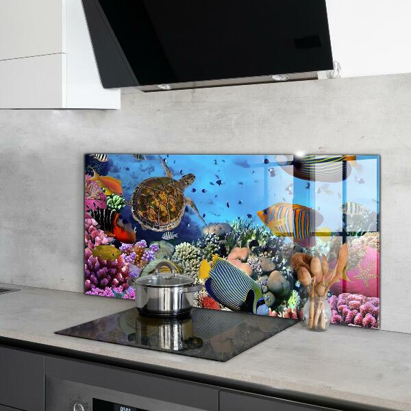 Kitchen wall panels Barrier reef caribbean