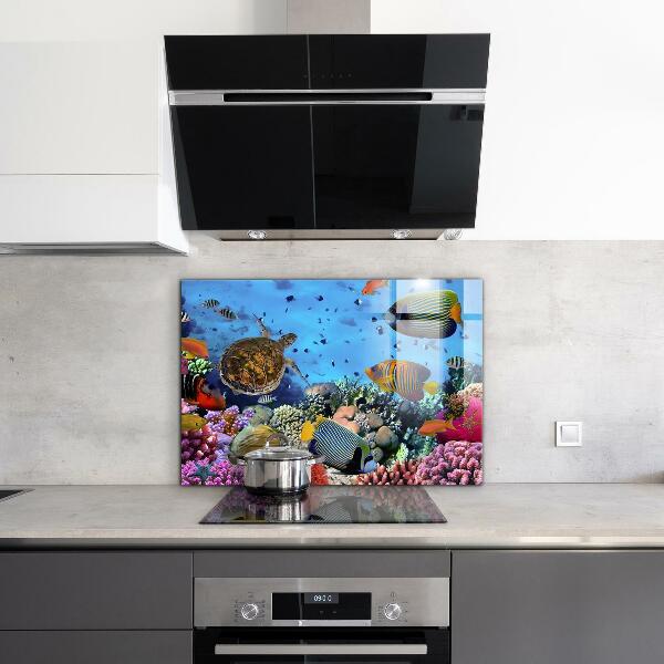 Kitchen wall panels Barrier reef caribbean