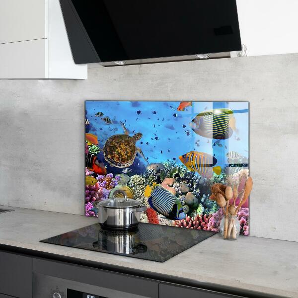 Kitchen wall panels Barrier reef caribbean