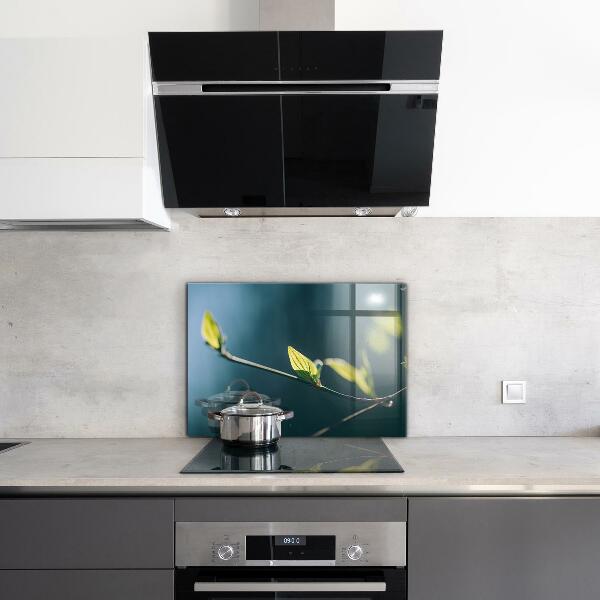 Kitchen wall panels Shiny leaf on branch