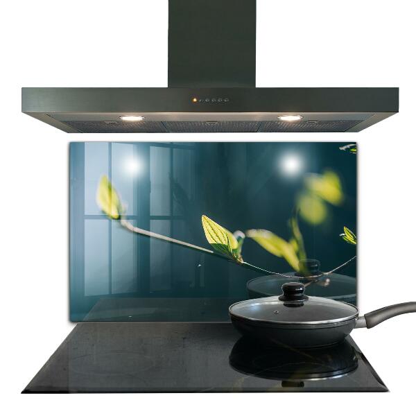 Kitchen wall panels Shiny leaf on branch