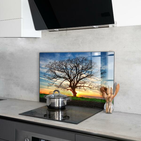 Kitchen wall panels Landscape meadow in the morning