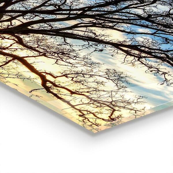 Kitchen wall panels Landscape meadow in the morning