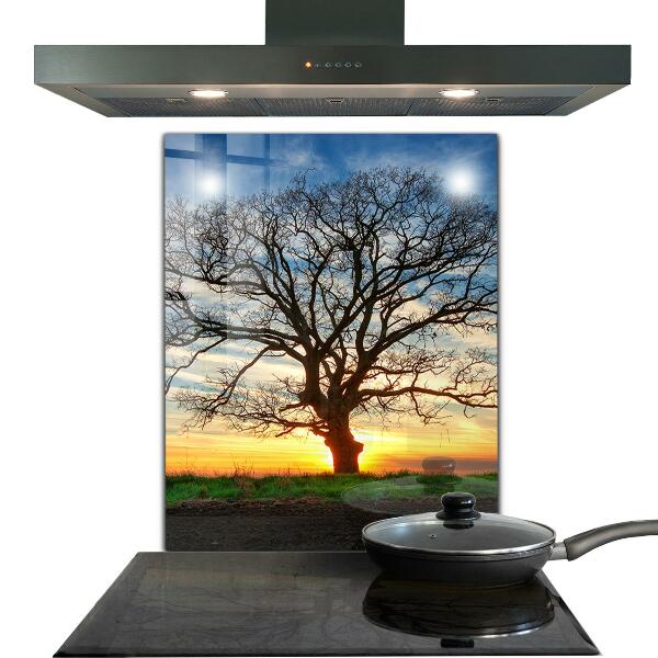 Kitchen wall panels Landscape meadow in the morning