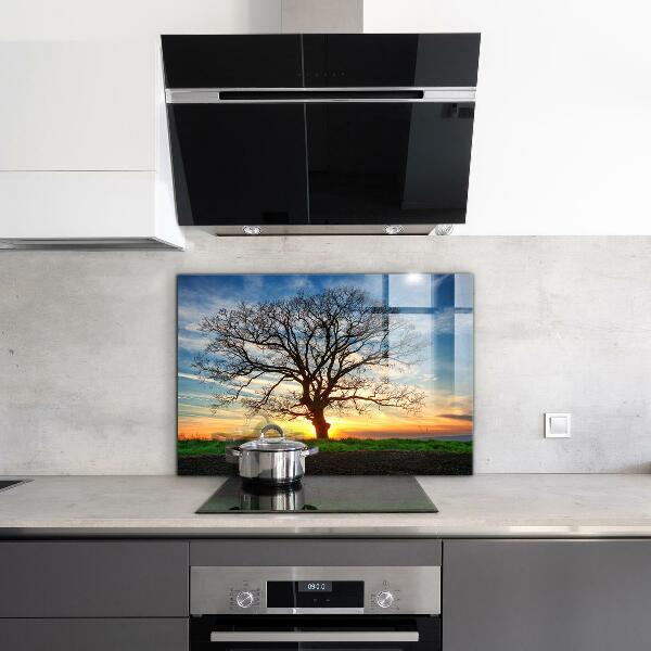 Kitchen wall panels Landscape meadow in the morning