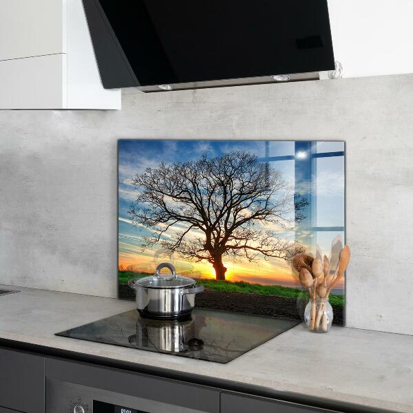 Kitchen wall panels Landscape meadow in the morning