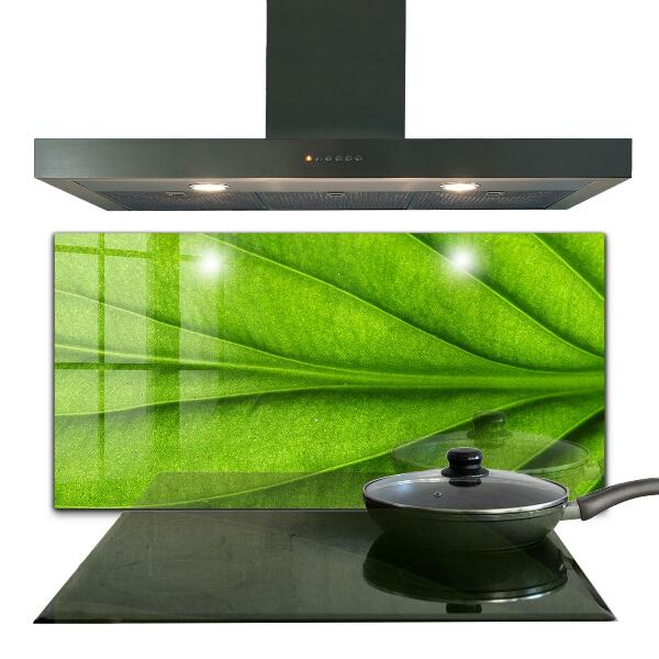 Kitchen wall panels Green leaf details