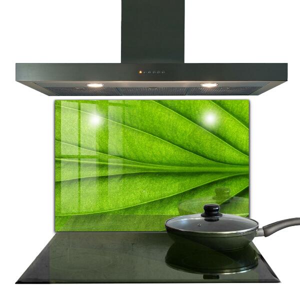 Kitchen wall panels Green leaf details