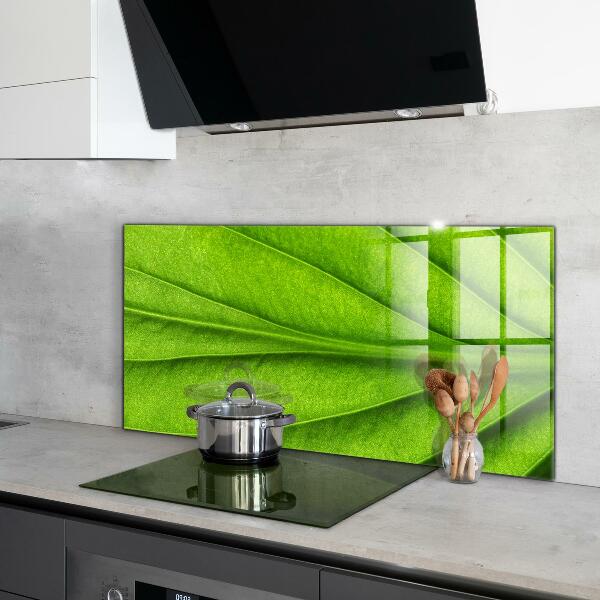 Kitchen wall panels Green leaf details
