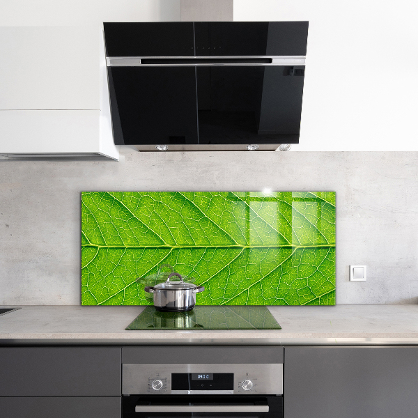 Kitchen panel Delicate leaf details