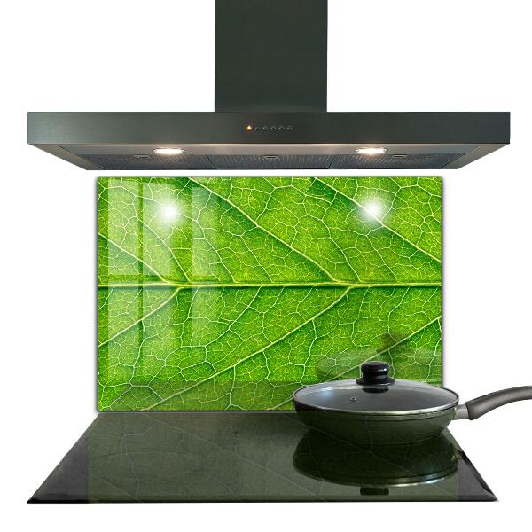 Kitchen panel Delicate leaf details