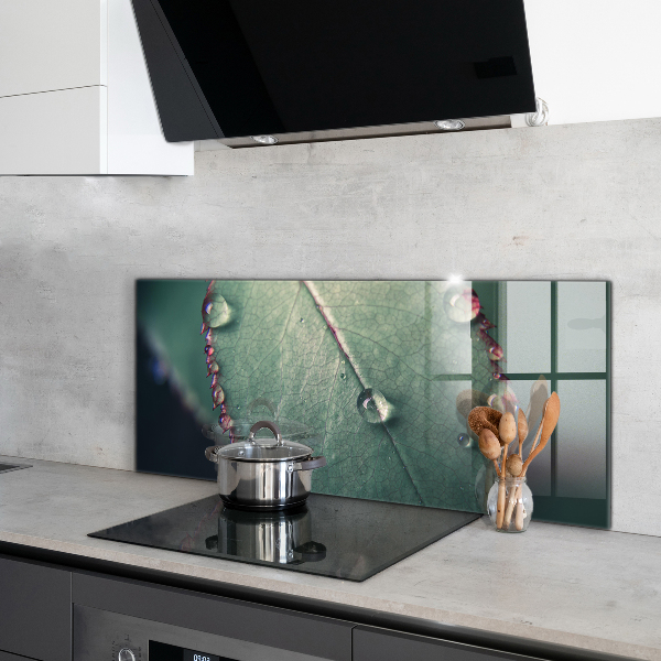 Kitchen panel Leaf with a dew drop