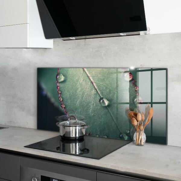 Kitchen panel Leaf with a dew drop