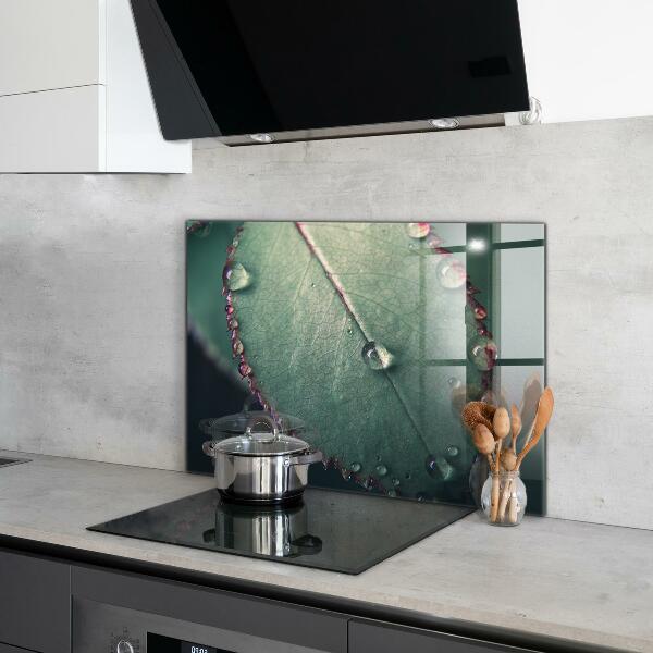 Kitchen panel Leaf with a dew drop