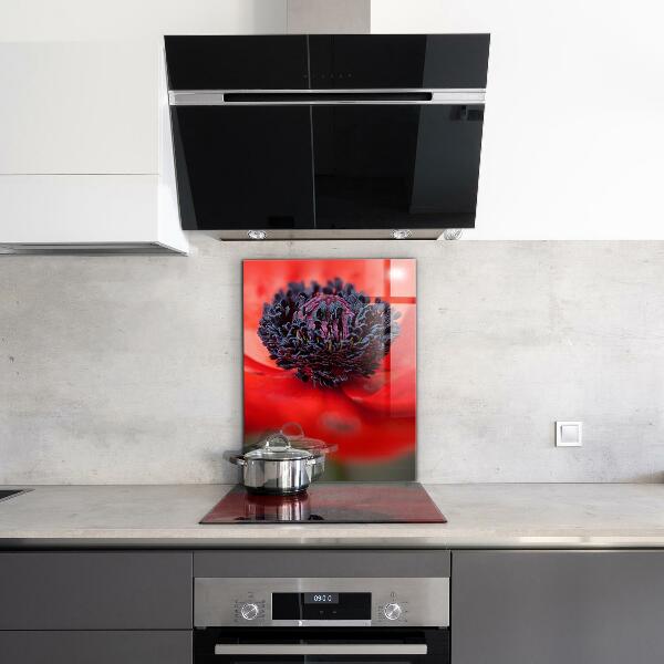 Kitchen panel Red poppy details